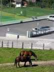 altabadia_0907_022.jpg (125kb)