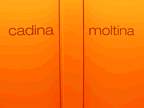 Vigilius_Lana_058.jpg (17kb)