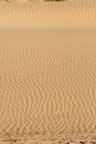 boavista_viana_12.jpg (54kb)