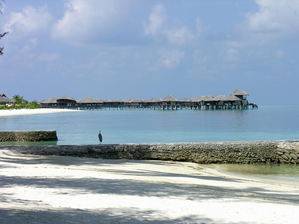 bodu_hithi_07.jpg