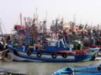 Marocco_06_Essaouira_Port_071.jpg (141kb)