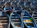 Marocco_06_Essaouira_Port_078.jpg (179kb)