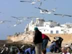 Marocco_06_Essaouira_Port_121.jpg (89kb)