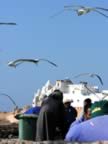 Marocco_06_Essaouira_Port_133.jpg (36kb)