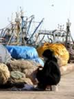 Marocco_06_Essaouira_Port_145.jpg (83kb)