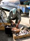 Marocco_06_Essaouira_Port_148.jpg (90kb)