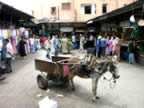 Marocco_06_Marrakech_034.jpg (149kb)