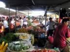 Mauritius04_MARKET_0015.jpg (105kb)