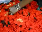 Mauritius04_MARKET_0040.jpg (63kb)