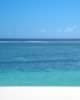 Mauritius04_nature_0001.jpg (124kb)