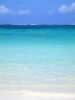 Mauritius04_nature_0017.jpg (36kb)