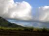 Mauritius04_nature_0046.jpg (39kb)