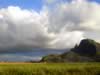 Mauritius04_nature_0048.jpg (41kb)