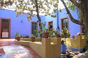 CDM_frida_18