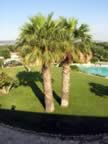 Puglia05_SSDomenico_100.jpg (58kb)