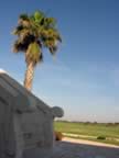 Puglia05_SSDomenico_102.jpg (31kb)