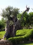 Puglia05_SSDomenico_133.jpg (74kb)
