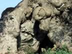 Puglia05_SSDomenico_135.jpg (87kb)