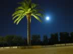 Puglia05_SSDomenico_155.jpg (29kb)
