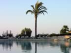 Puglia05_SSDomenico_89.jpg (33kb)
