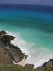 seichelles_freg_gallb_061.jpg (49kb)
