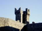 Toscana_mix_10.jpg (74kb)