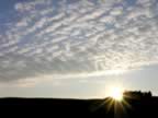 Toscana_mix_23.jpg (48kb)