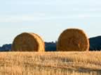 Toscana_mix_26.jpg (77kb)