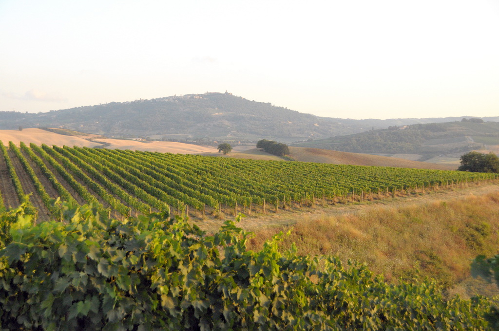 valdorcia_02.jpg