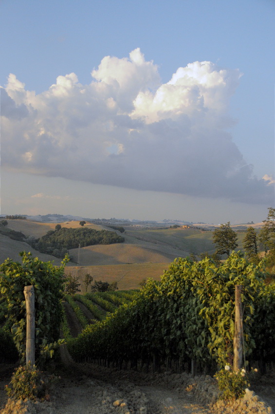 valdorcia_13.jpg