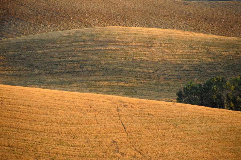 valdorcia_44.jpg