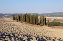 valdorcia_20