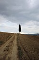 valdorcia_25