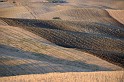 valdorcia_26