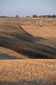 valdorcia_27