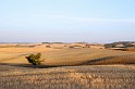 valdorcia_30