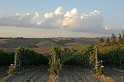 valdorcia_35