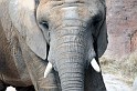 Vlc_biopark_09_30